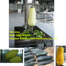 Máquina de pelar papaya y máquina de eliminación de piel de melón